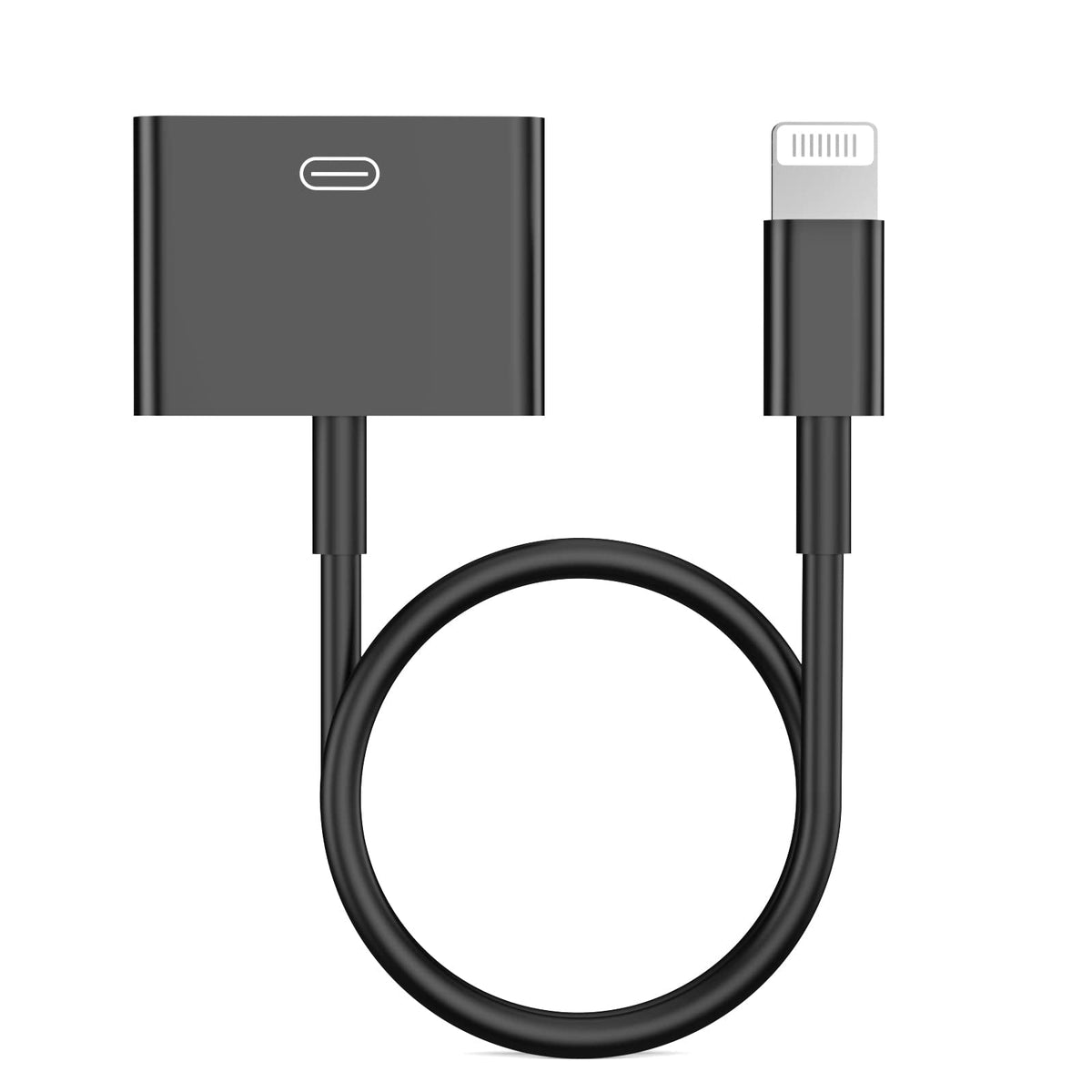 iPhone Lightning to 30-Pin Adapter Charger Cord