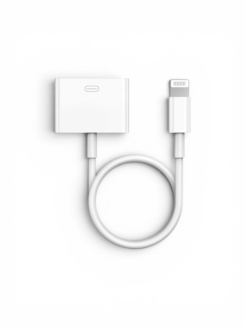 iPhone Lightning to 30-Pin Adapter Charger Cord